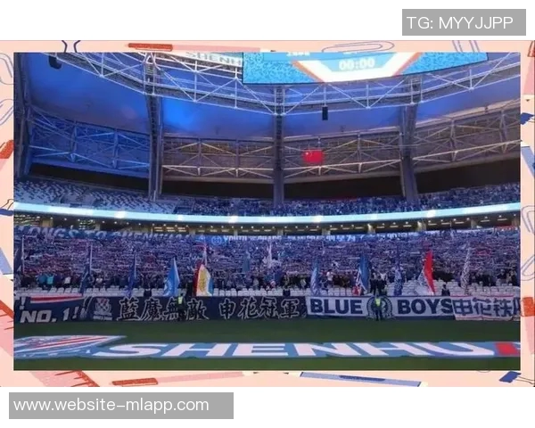 徐江批评路易斯泼脏水行为不当表达对申花的支持与立场